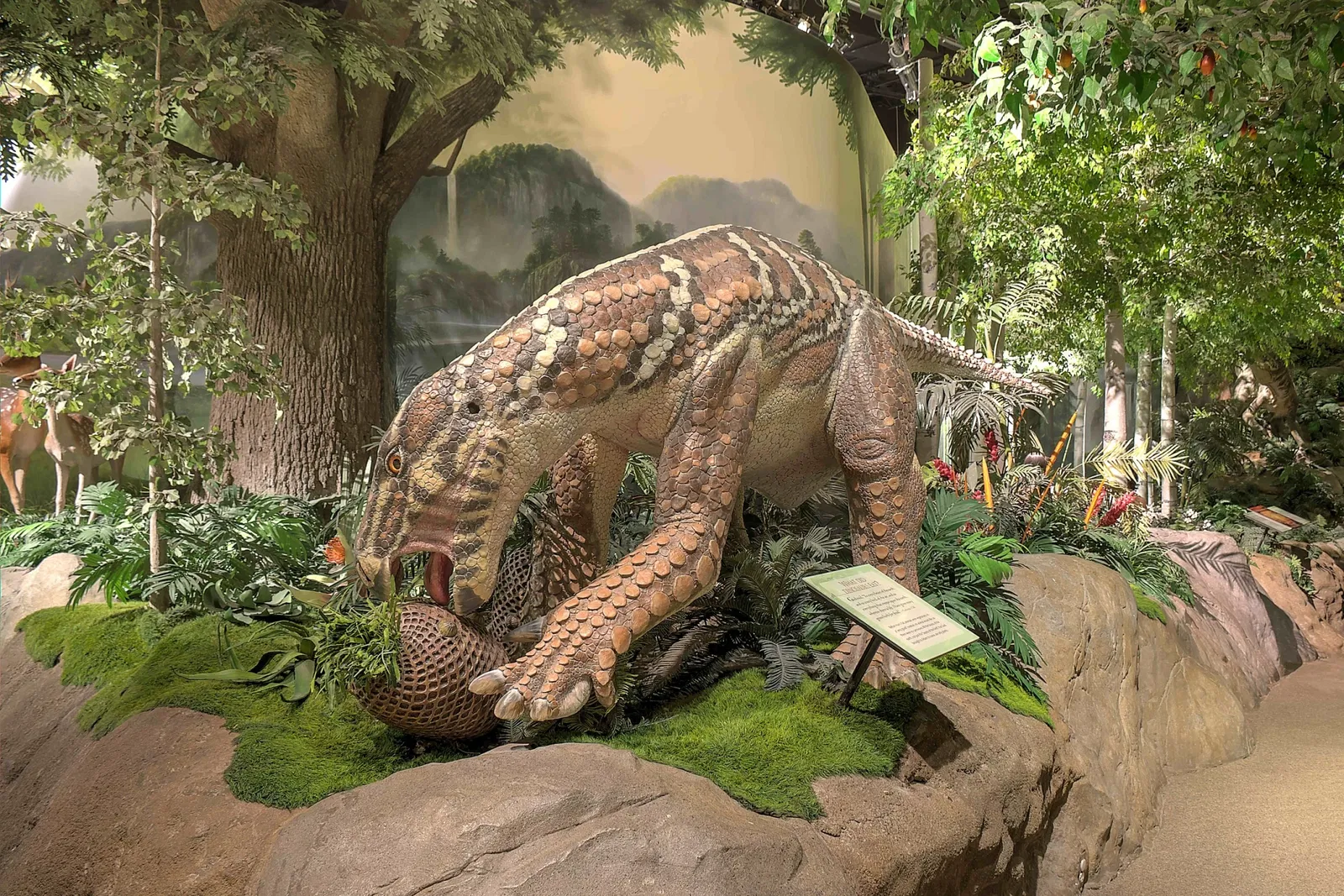Creation Museum