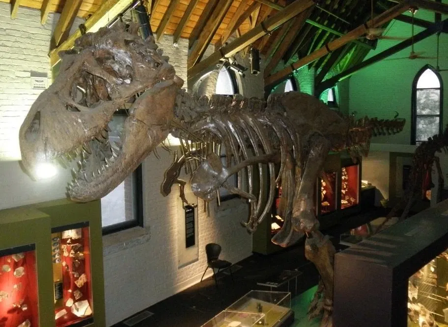 Australian Fossil and Mineral Museum