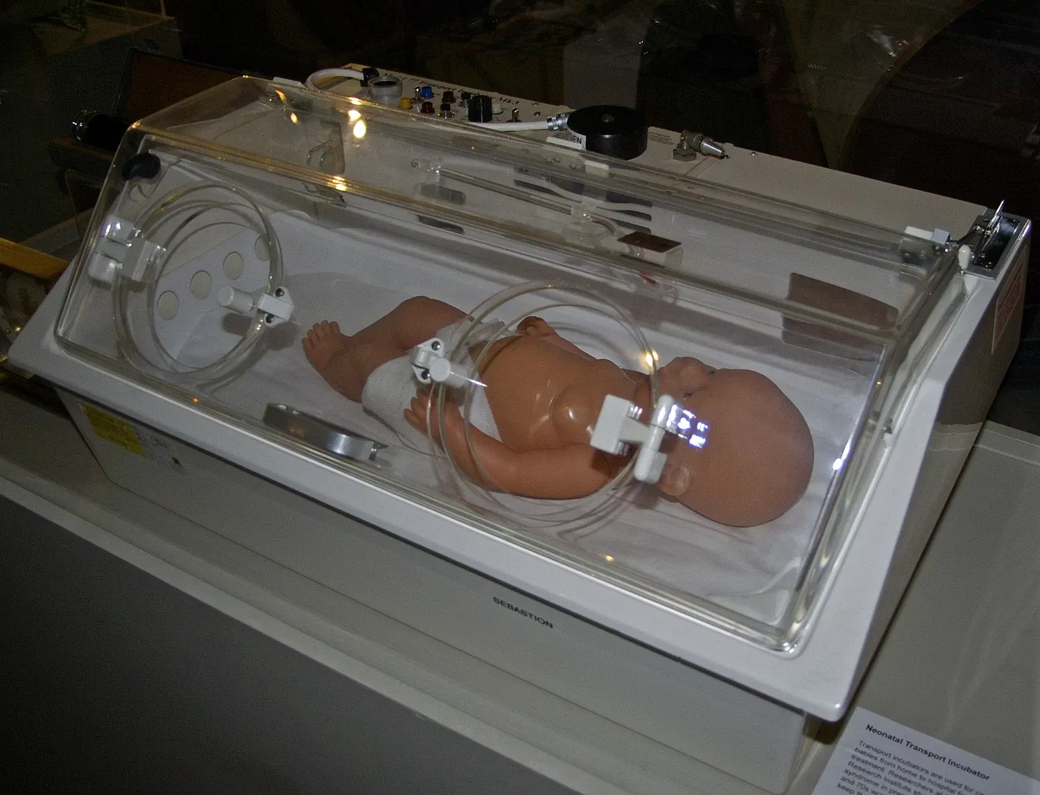 Museum of the Riverina