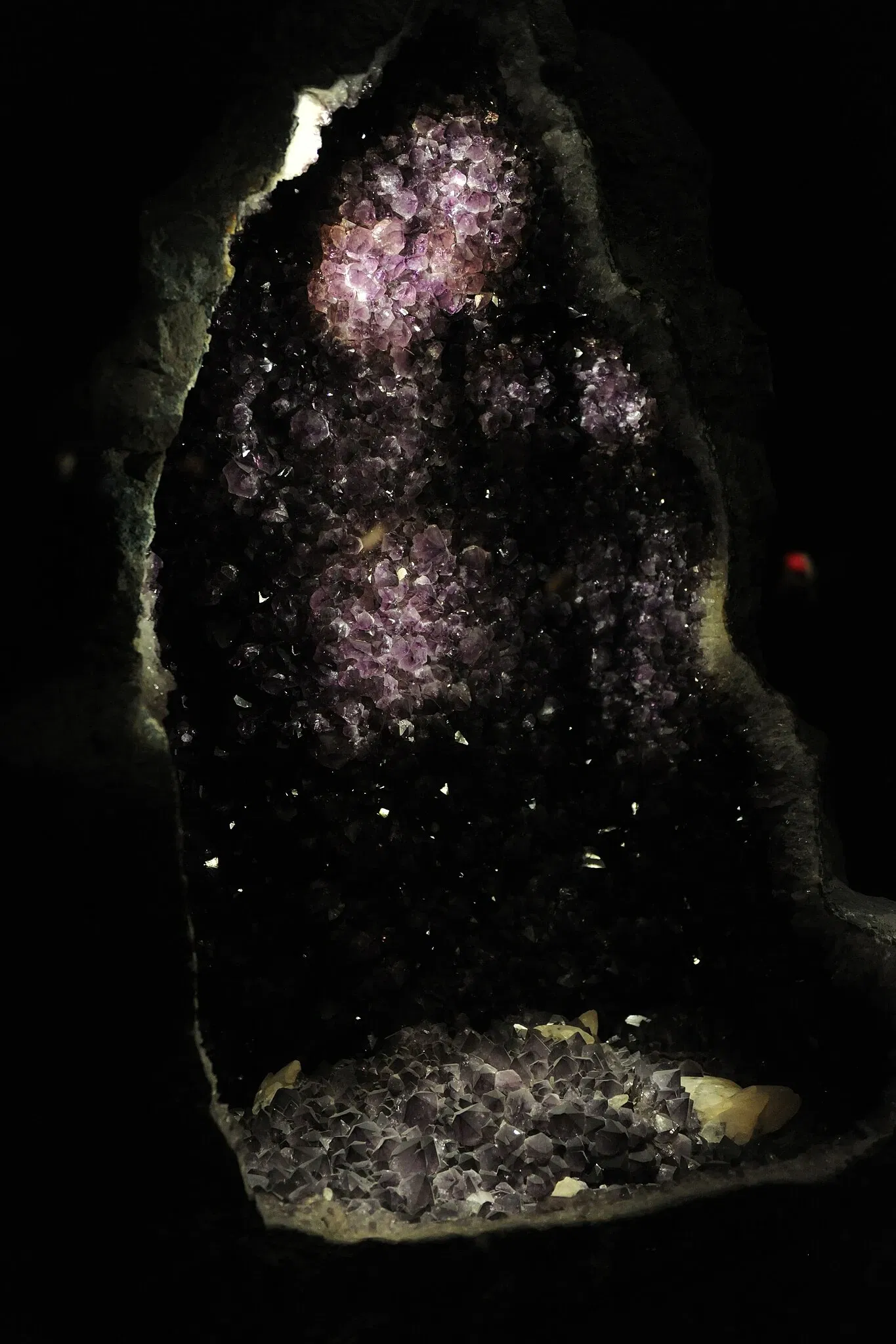 Houston Museum Of Natural Science