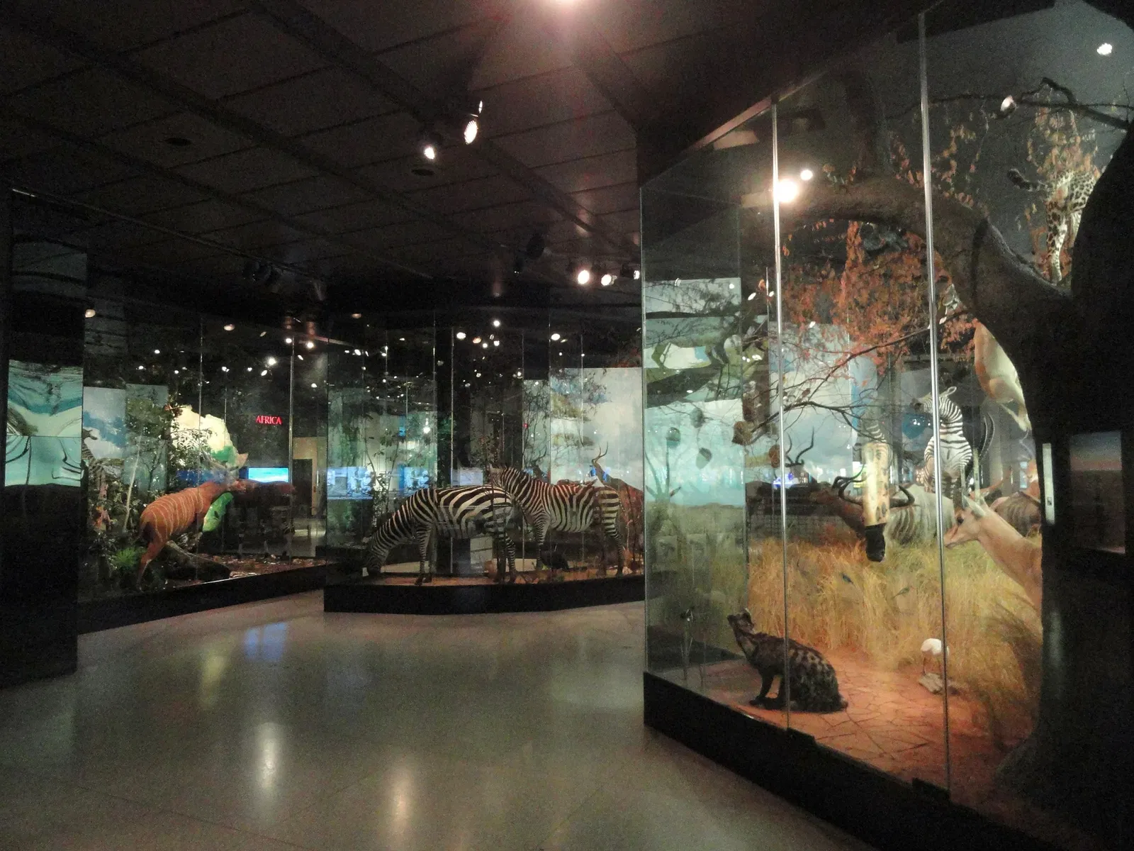 Houston Museum Of Natural Science