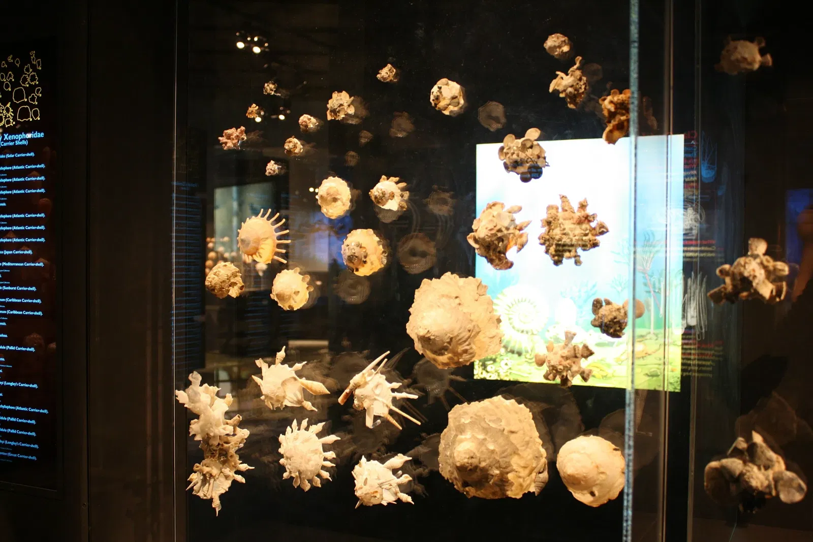 Houston Museum Of Natural Science