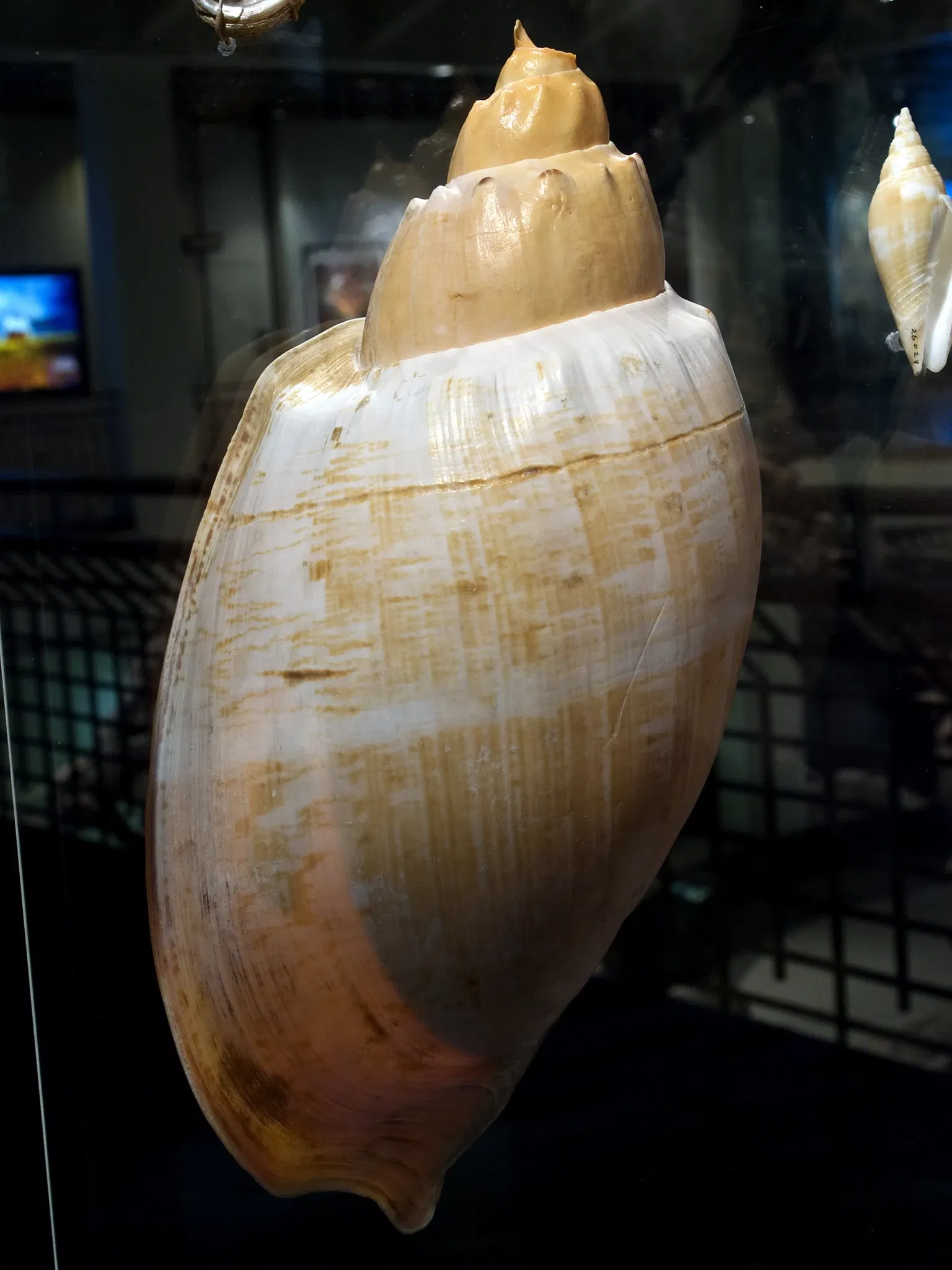 Houston Museum Of Natural Science