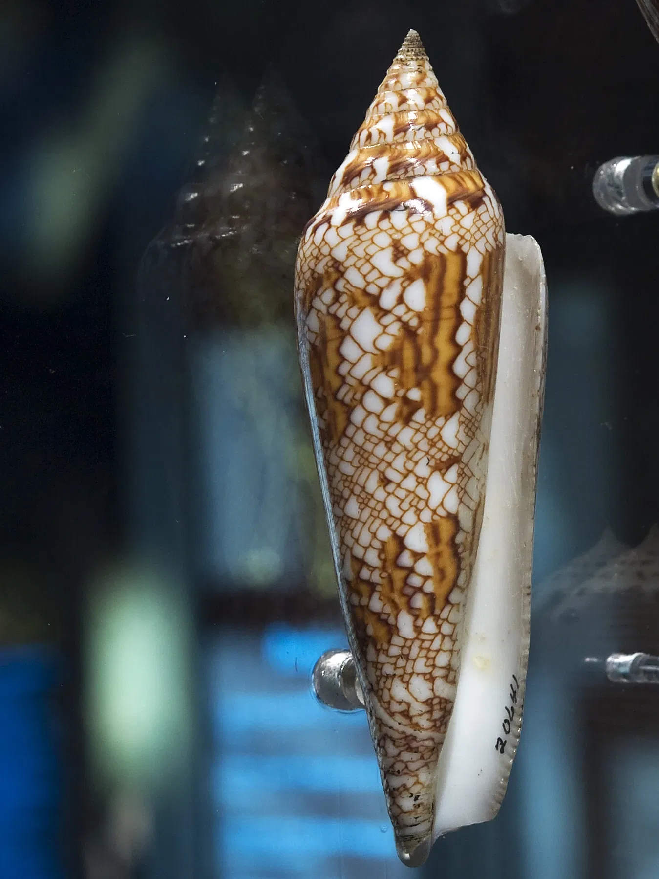 Houston Museum Of Natural Science