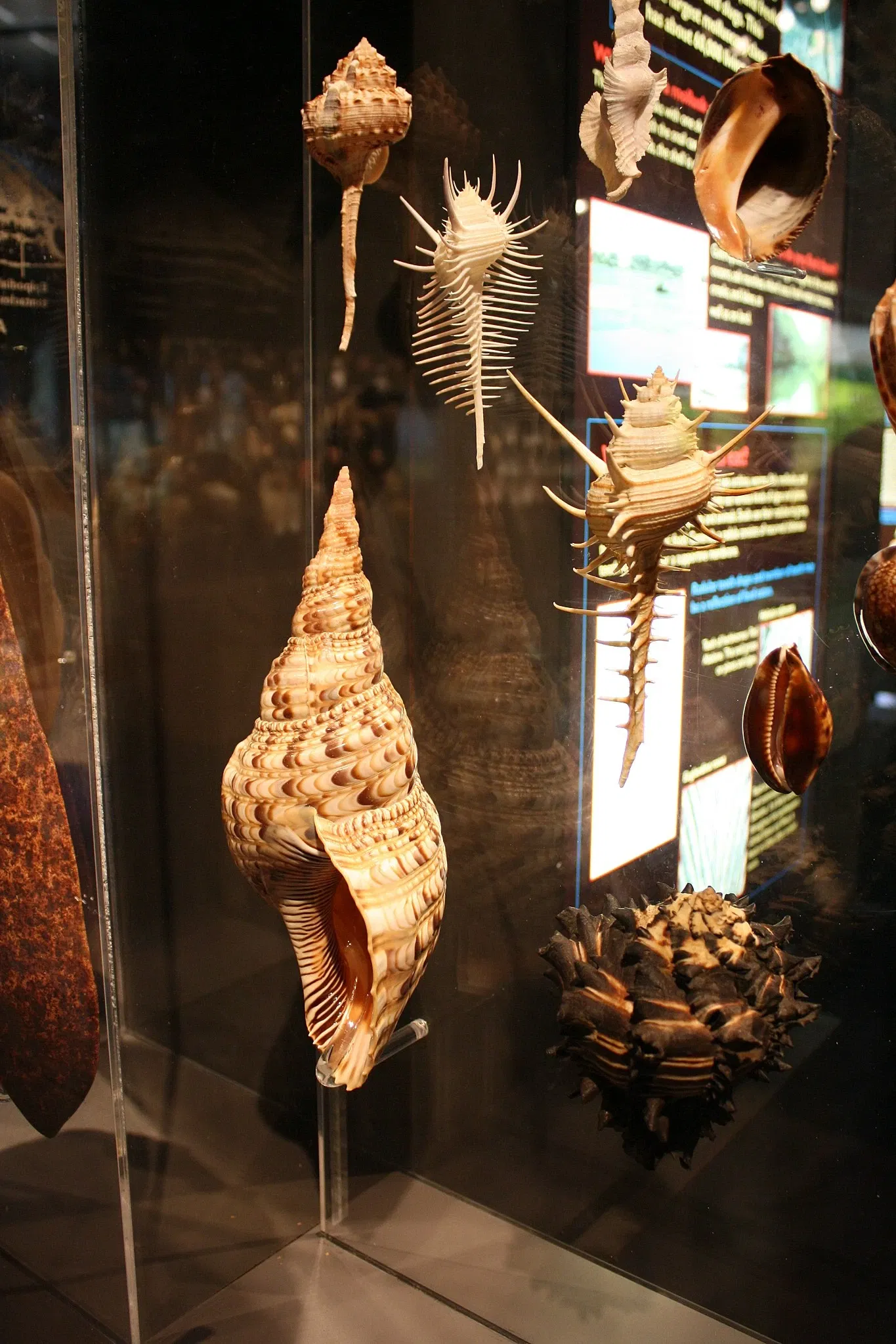 Houston Museum Of Natural Science