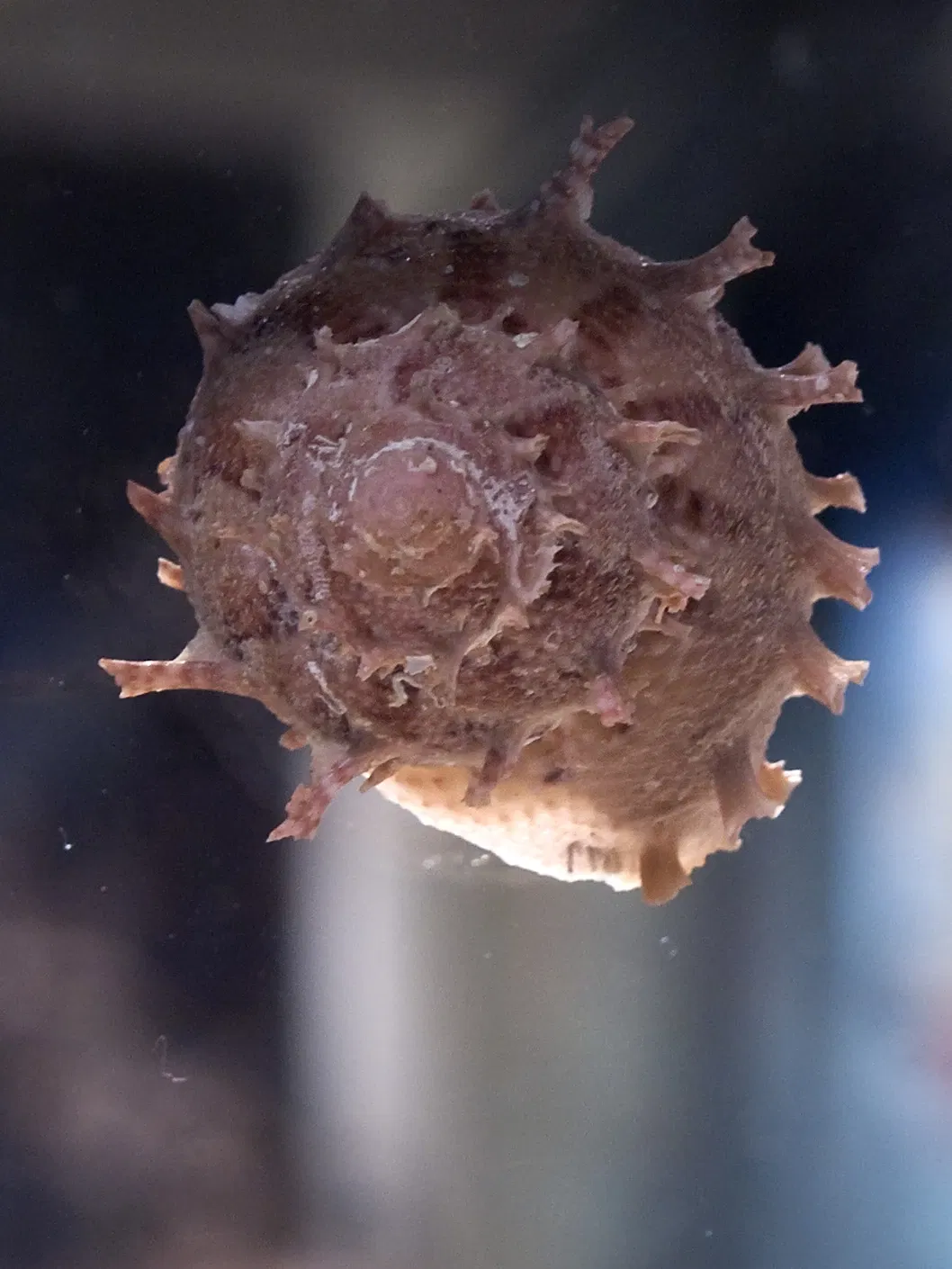 Houston Museum Of Natural Science