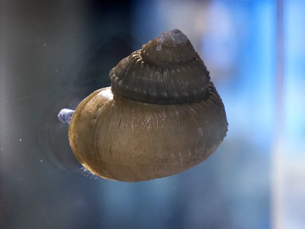 Houston Museum Of Natural Science