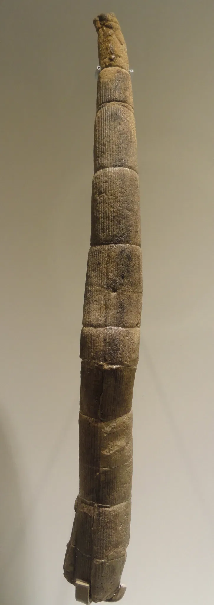 Houston Museum Of Natural Science