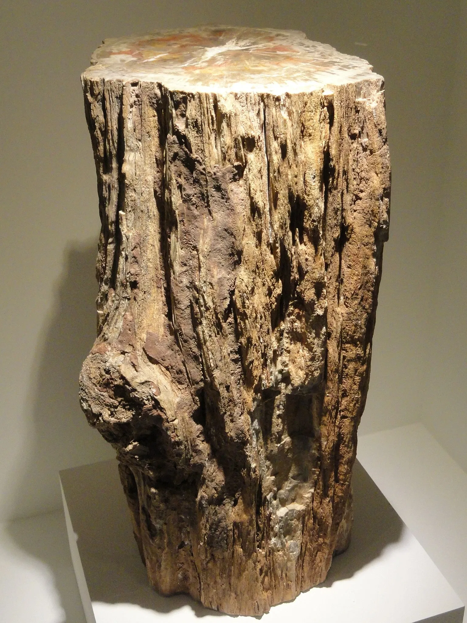 Houston Museum Of Natural Science