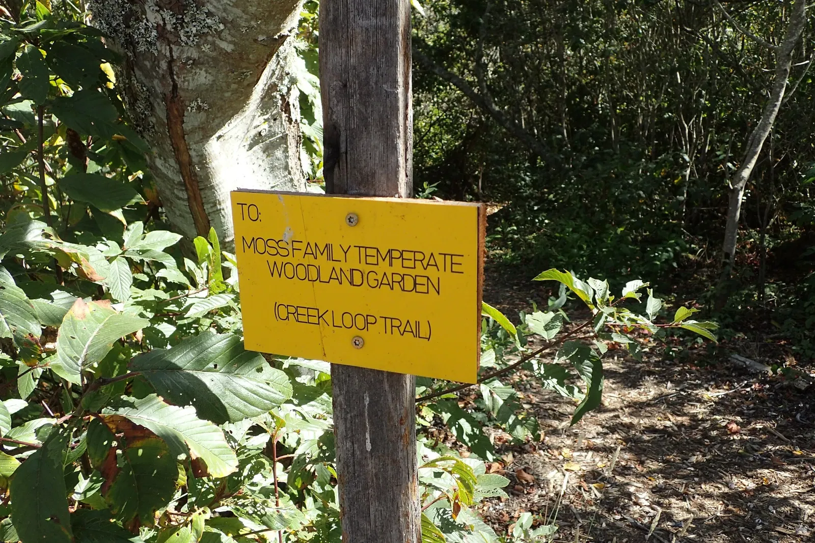 Jardín botánico Humboldt