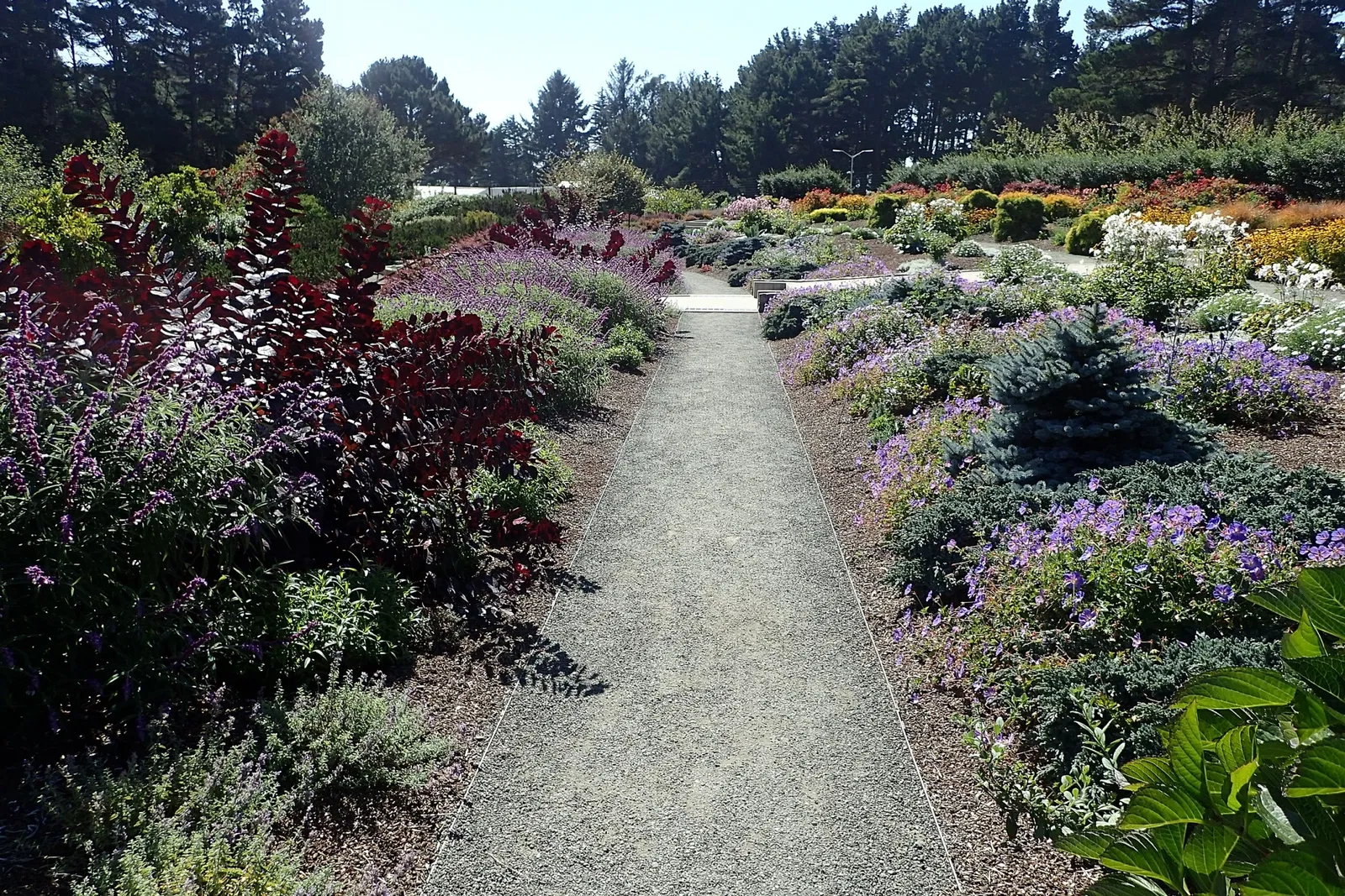 Humboldt Botanical Gardens