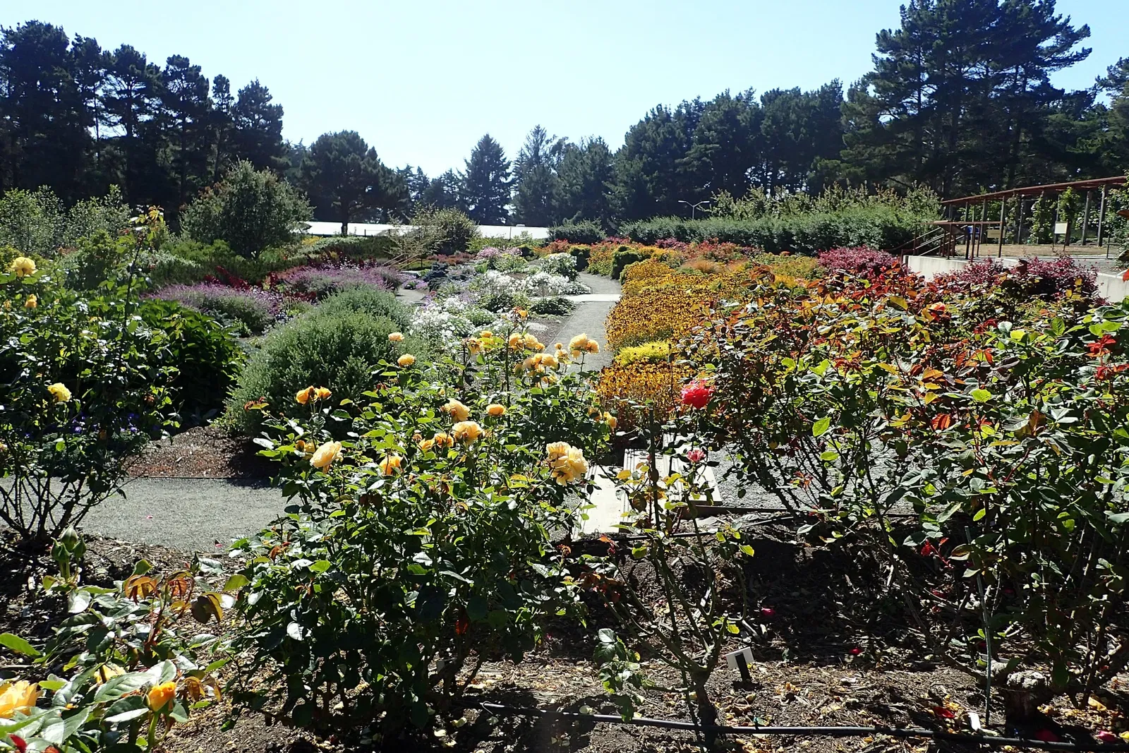 Jardín botánico Humboldt