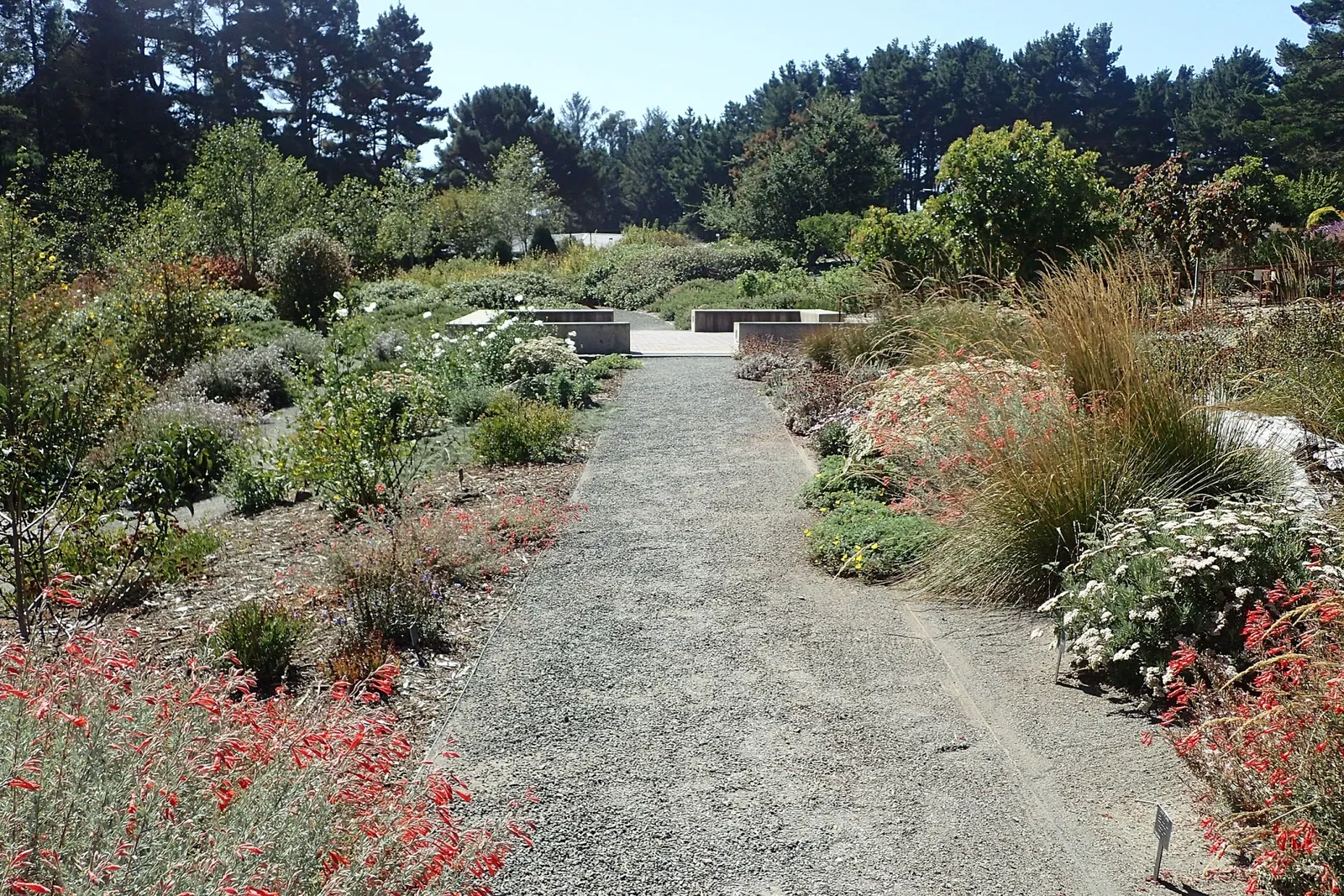 Humboldt Botanical Gardens