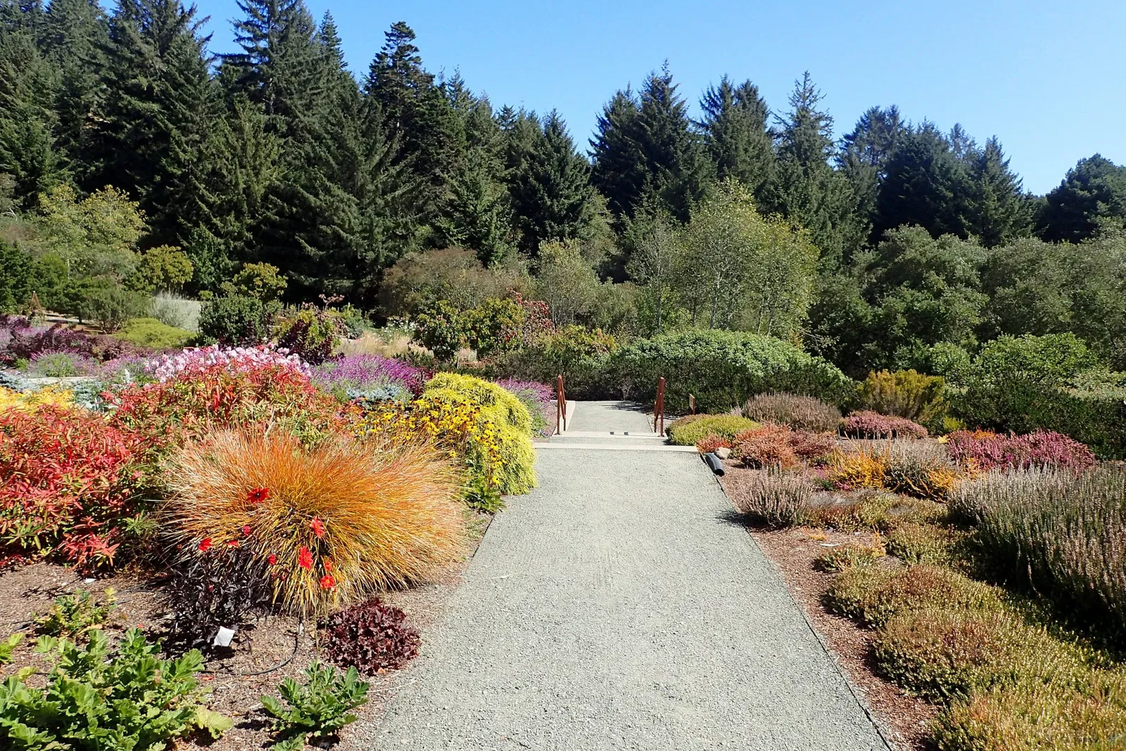 Jardín botánico Humboldt