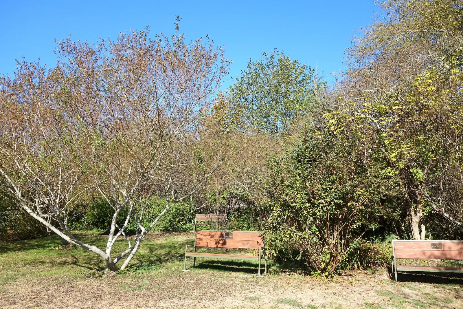 Humboldt Botanical Gardens