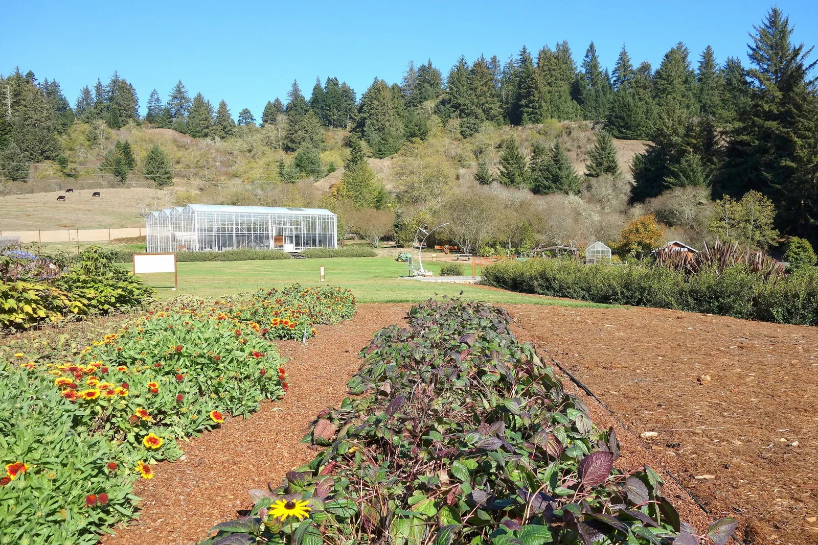 Humboldt Botanical Gardens