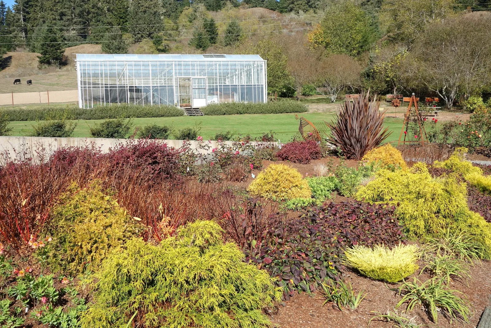 Humboldt Botanical Gardens