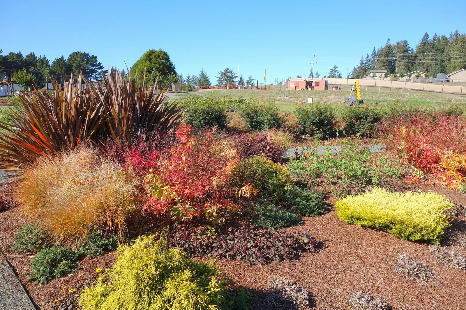 Humboldt Botanical Gardens