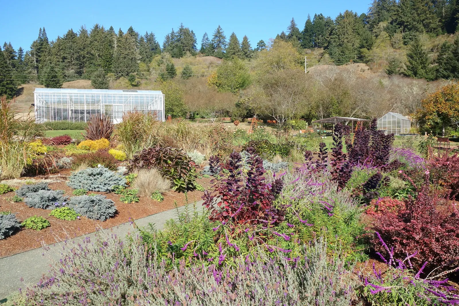 Humboldt Botanical Gardens