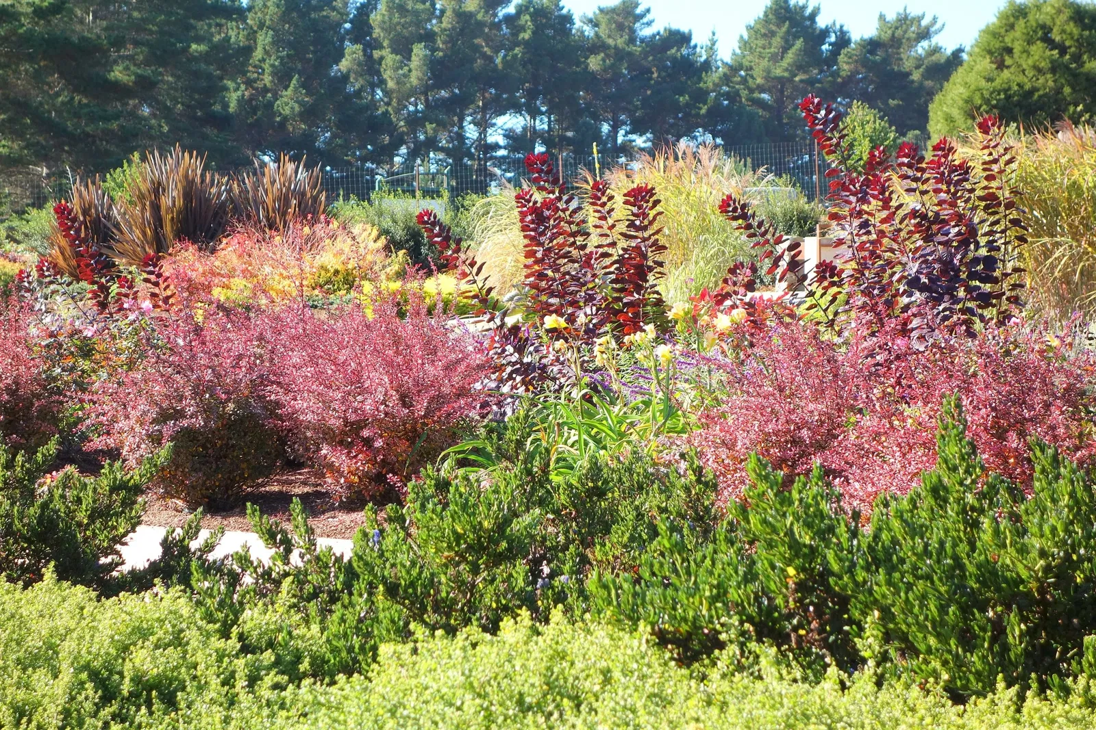Jardín botánico Humboldt