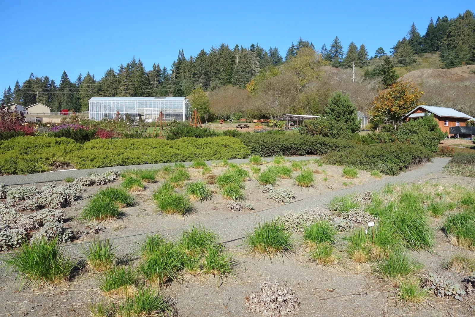 Humboldt Botanical Gardens