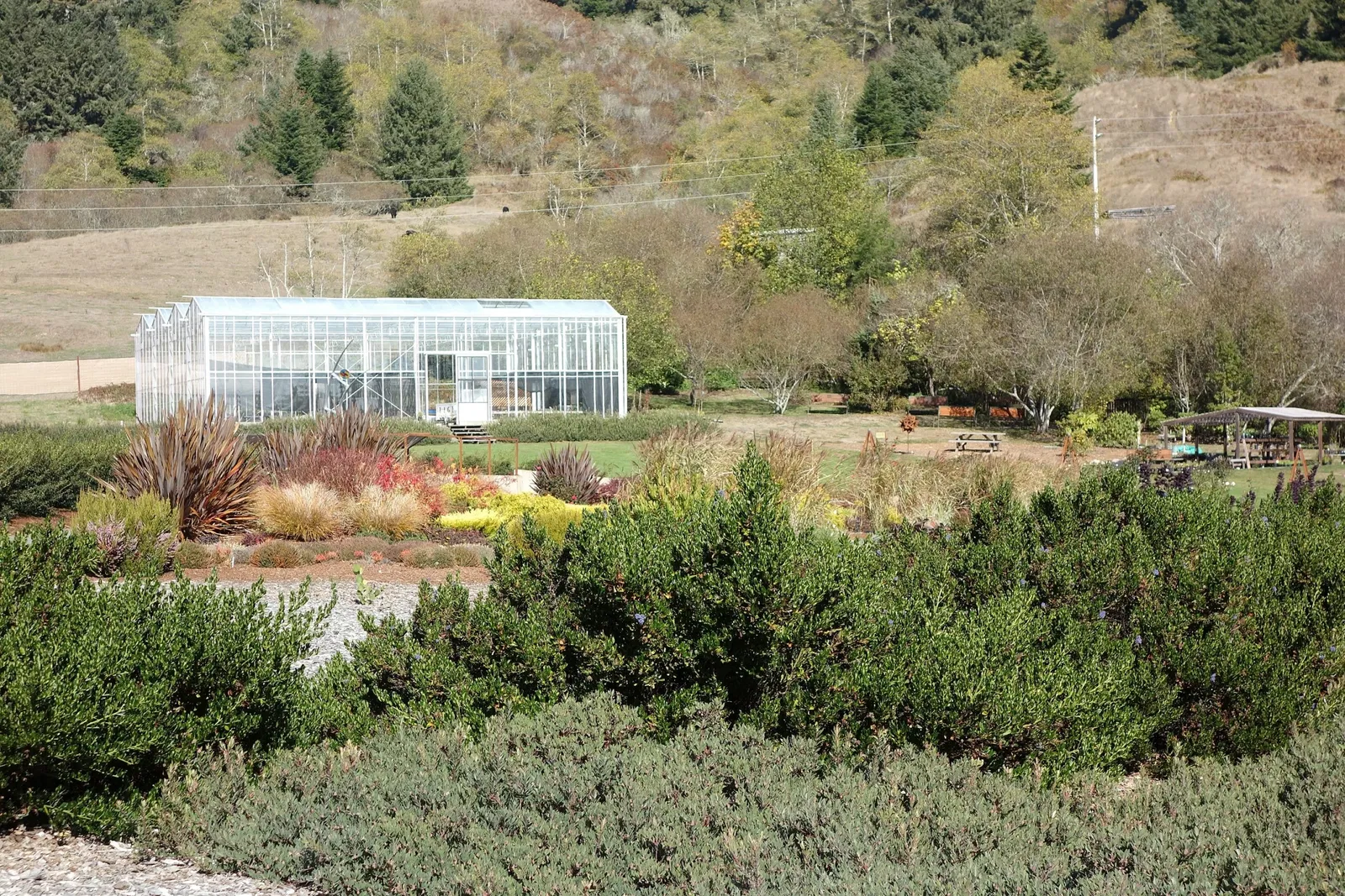 Jardín botánico Humboldt