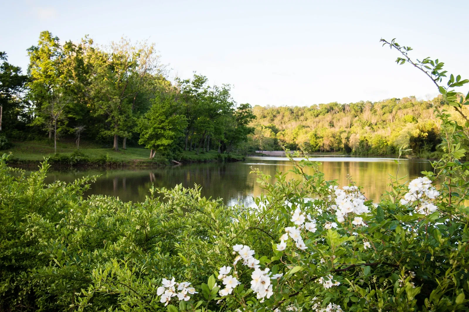 Butler-Turpin State Historic House