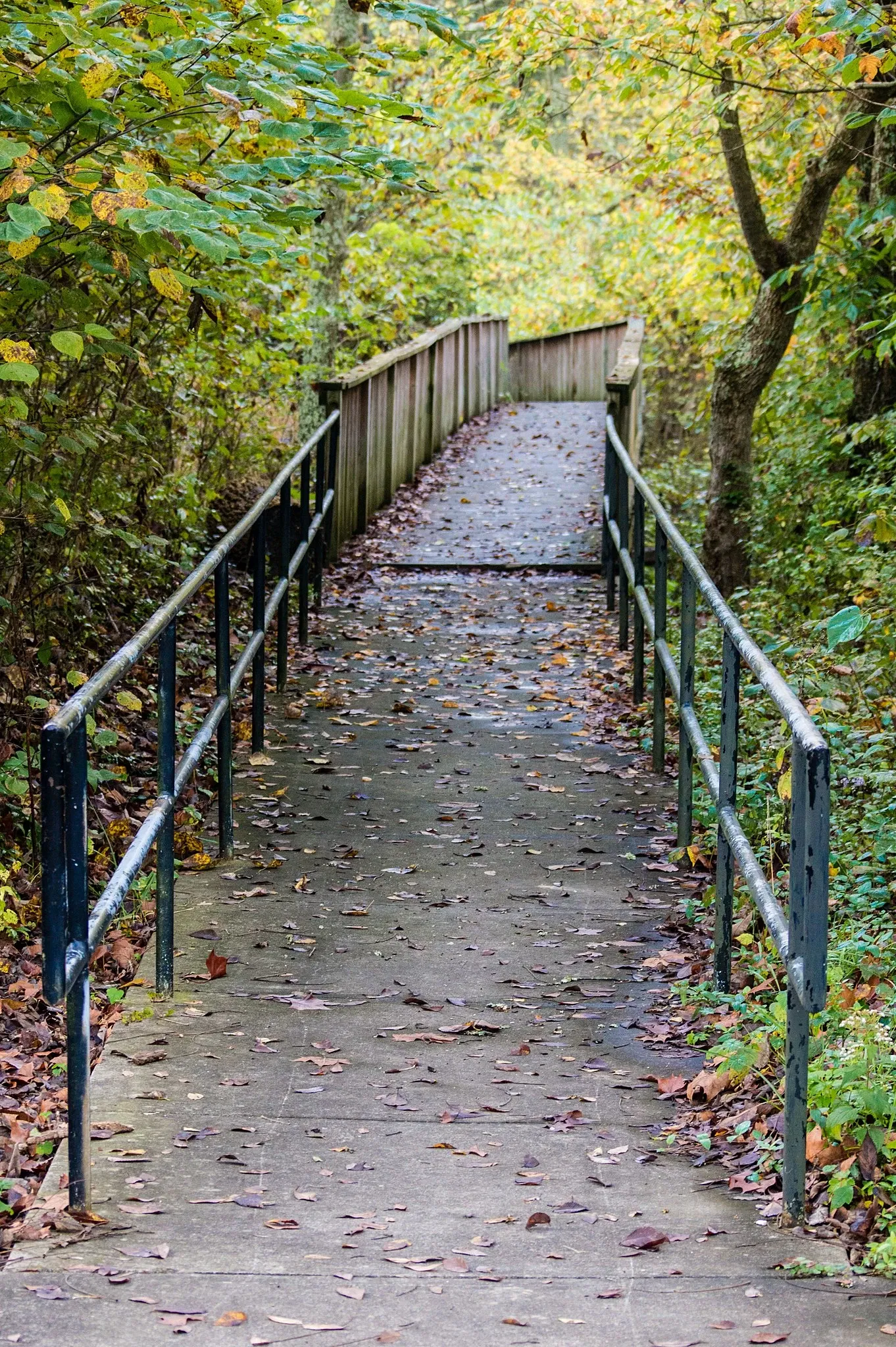 Butler-Turpin State Historic House