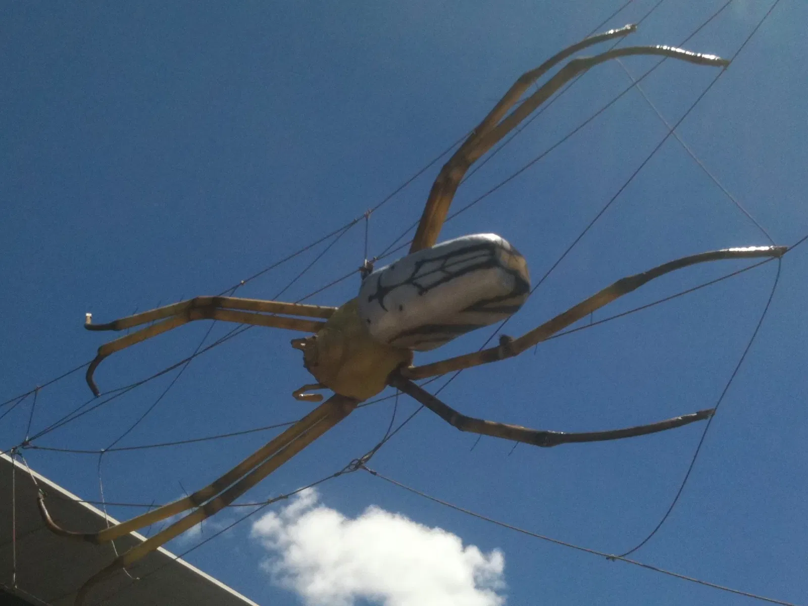 Museum of Tropical North Queensland