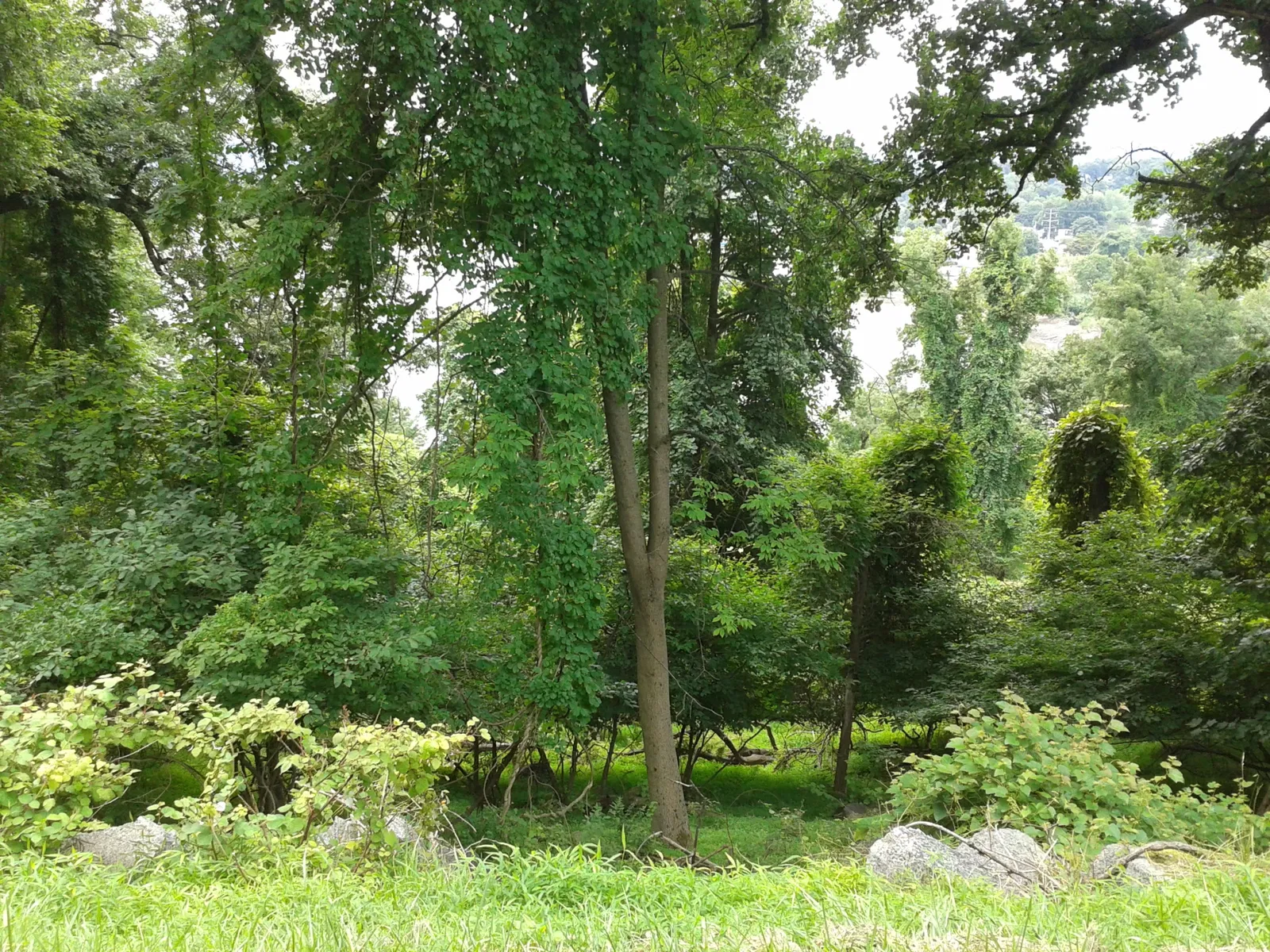 Stony Point Battlefield State Historic Site
