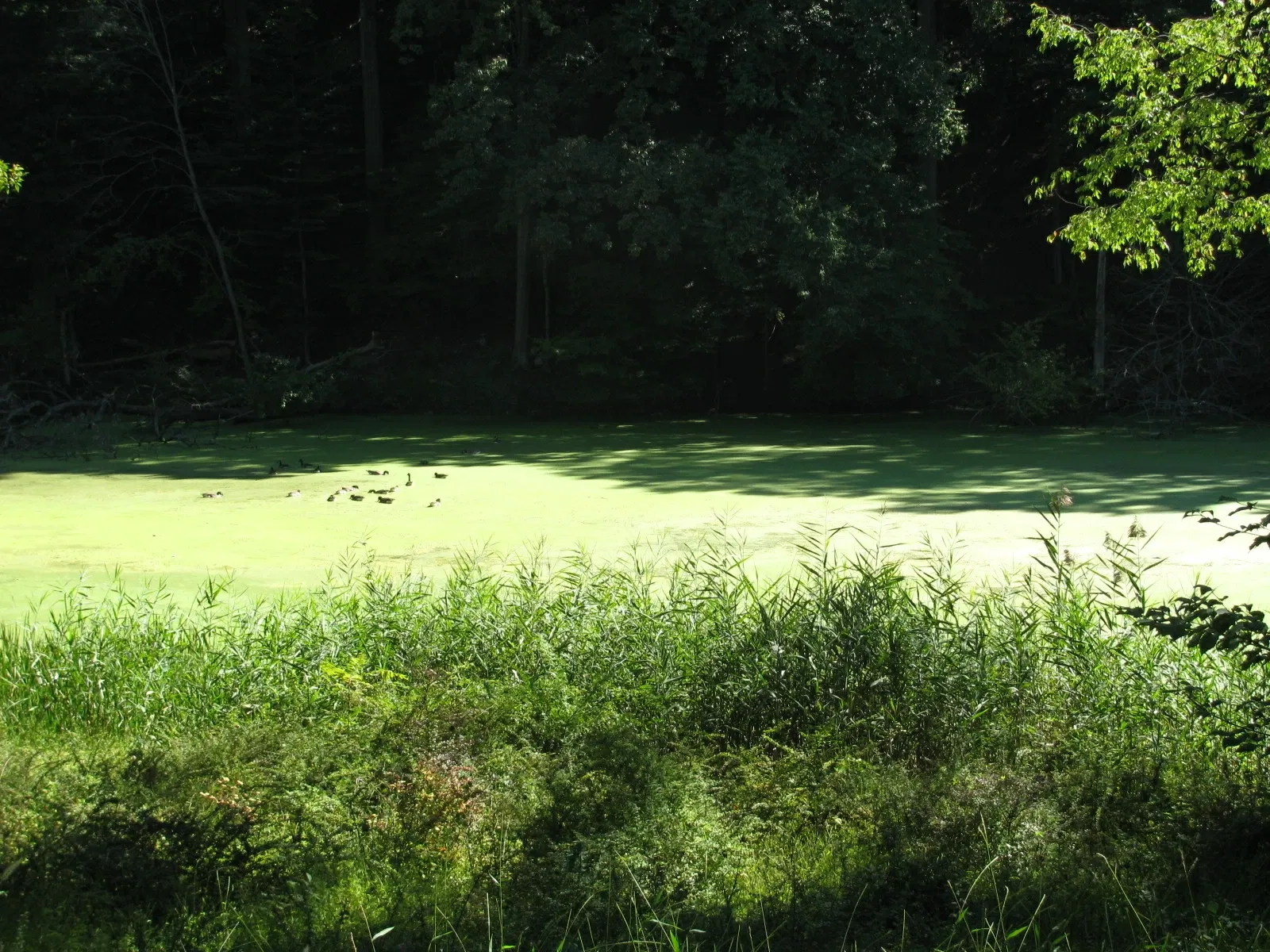 Stony Point Battlefield State Historic Site