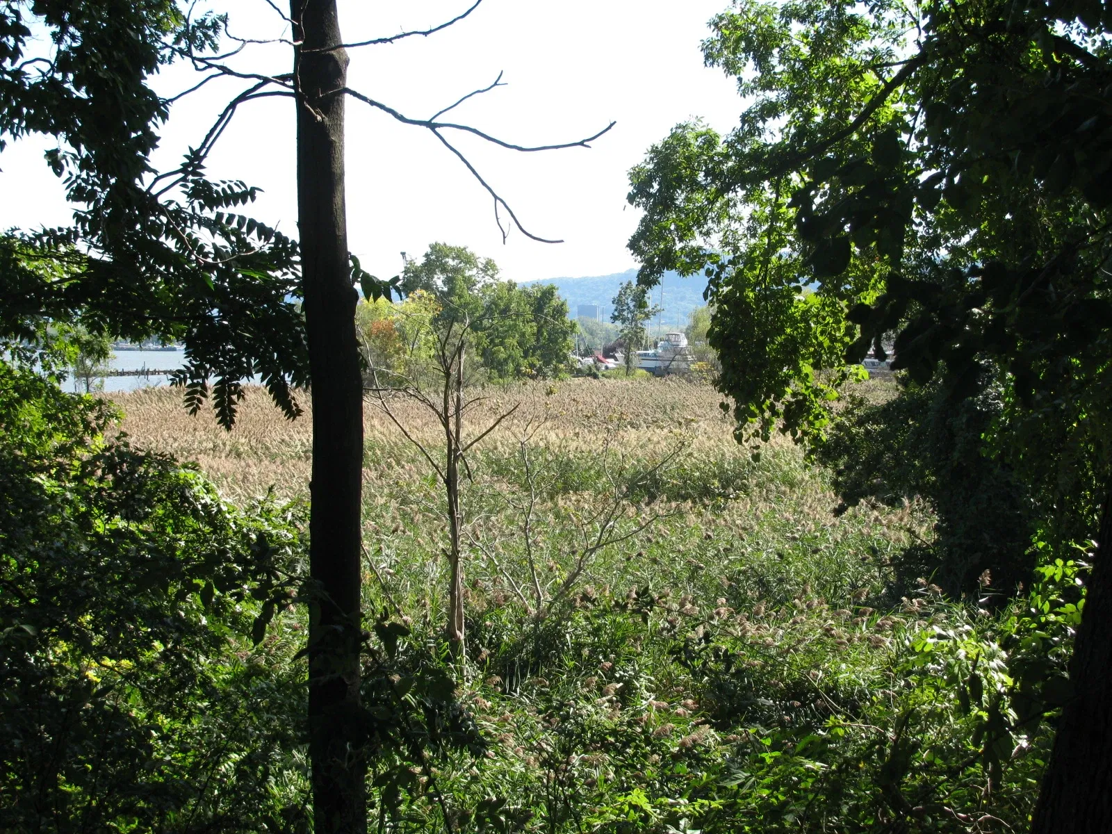 Stony Point Battlefield State Historic Site