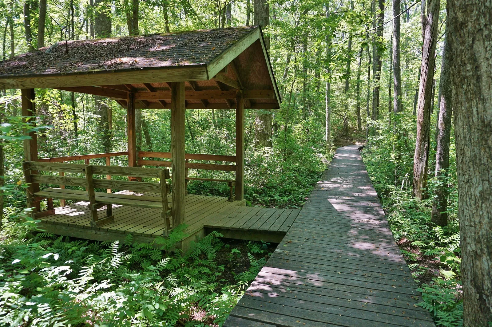 Weymouth Woods-Sandhills Nature Preserve