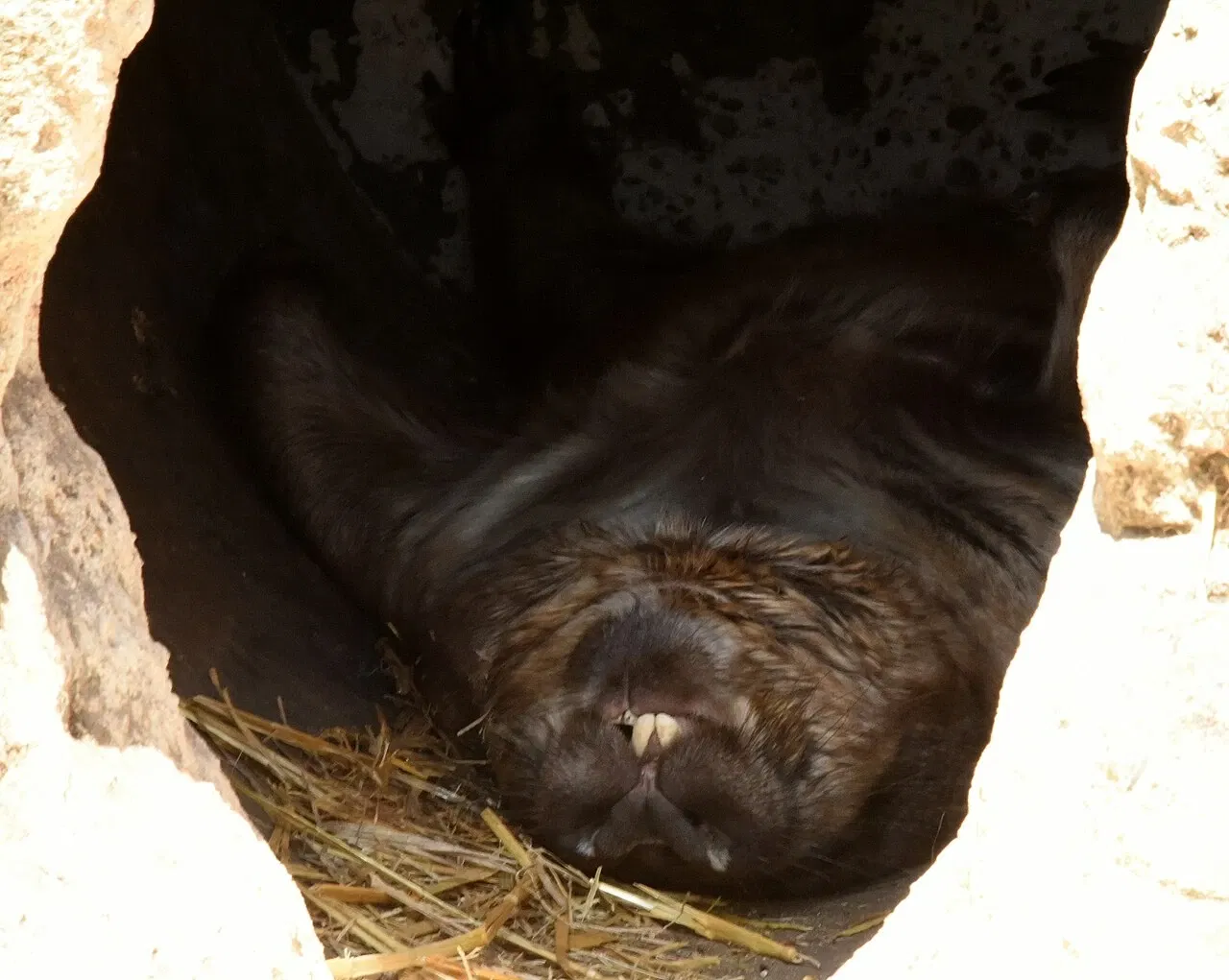 Featherdale Wildlife Park