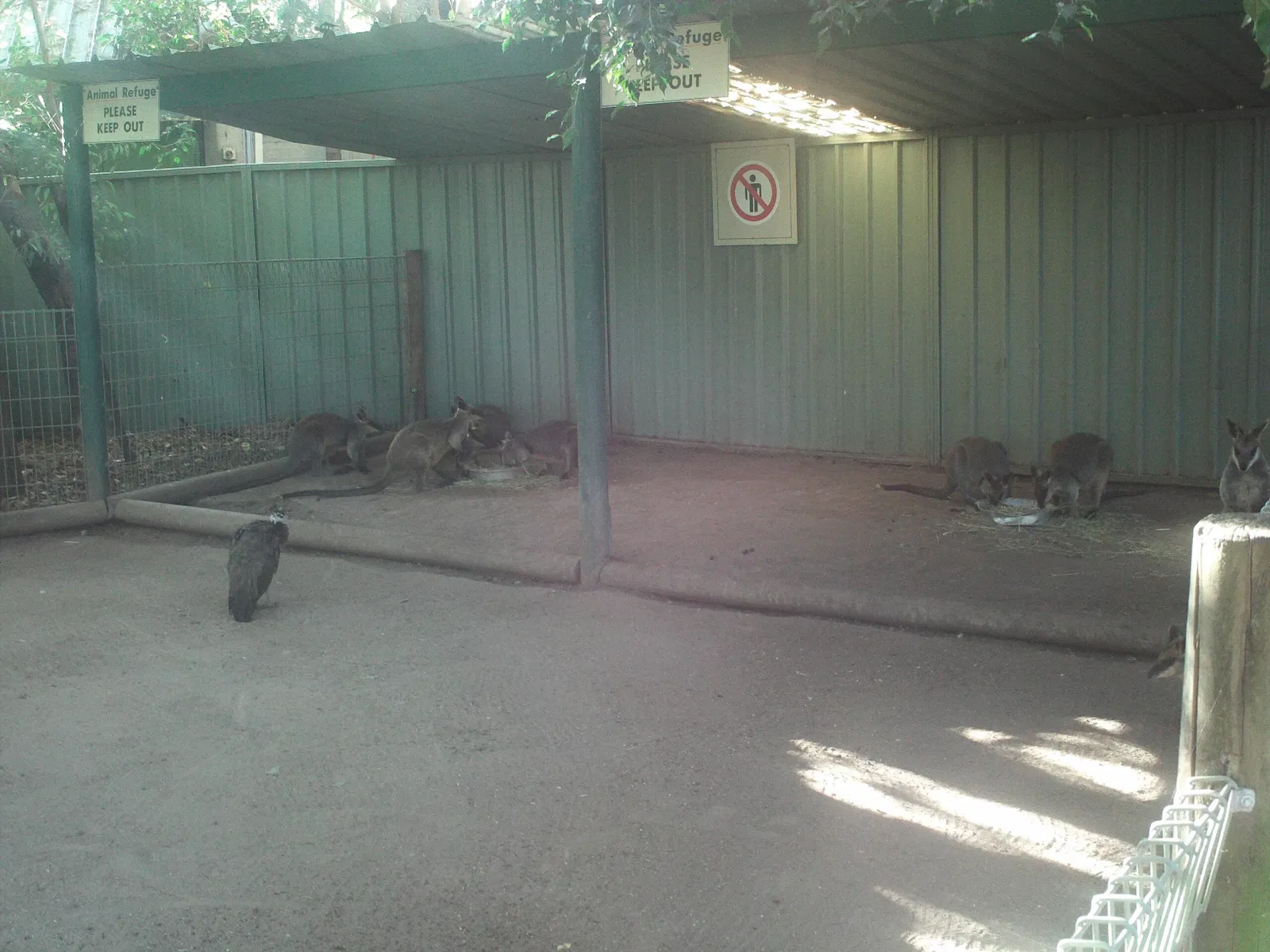 Featherdale Sydney Wildlife Park