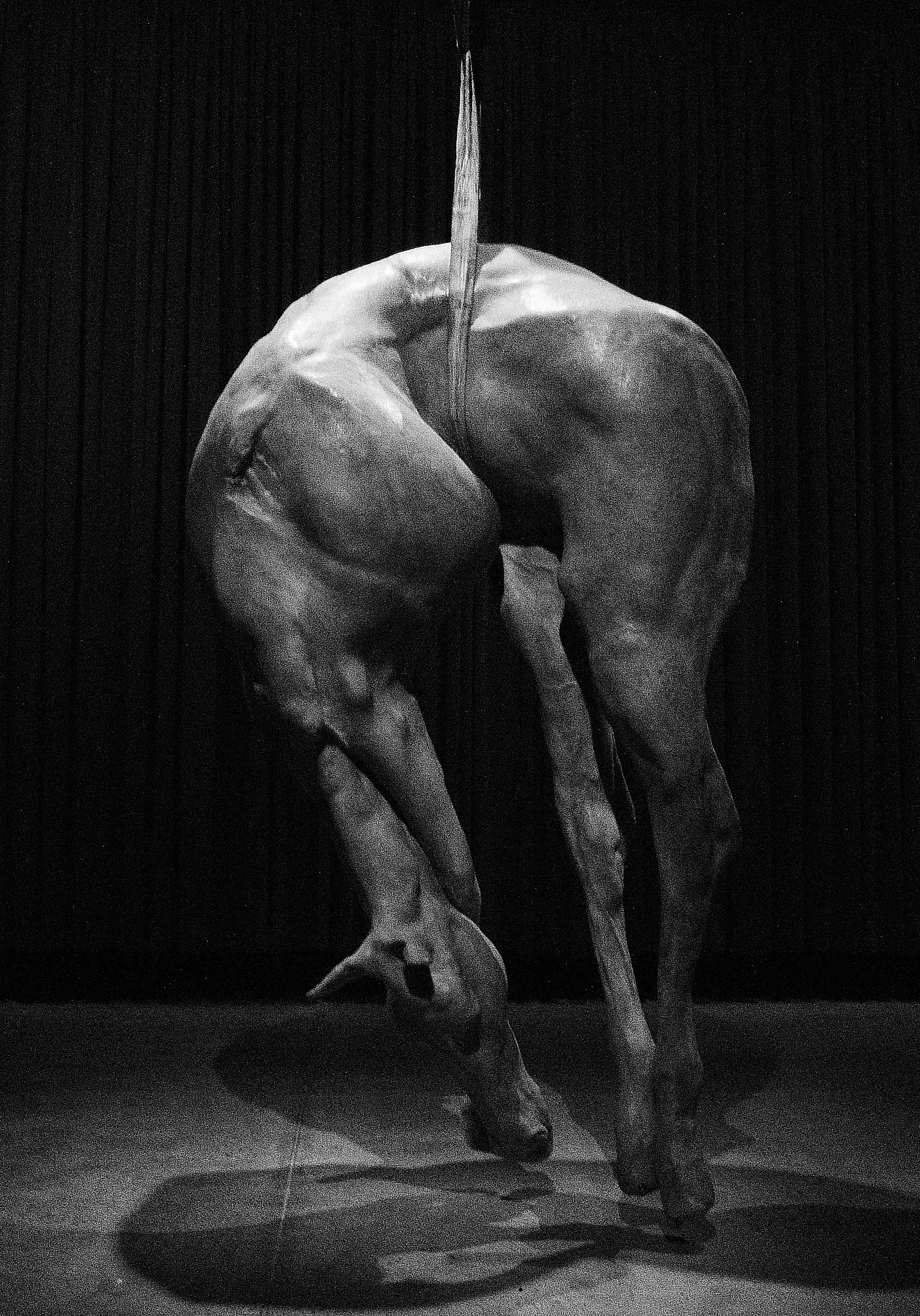 Mona – Museum of Old and New Art