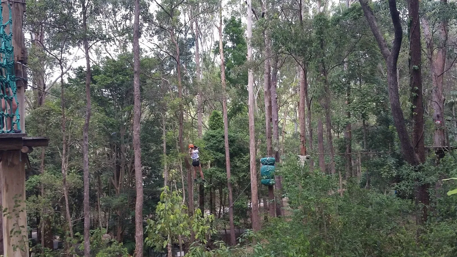 Currumbin Wildlife Sanctuary