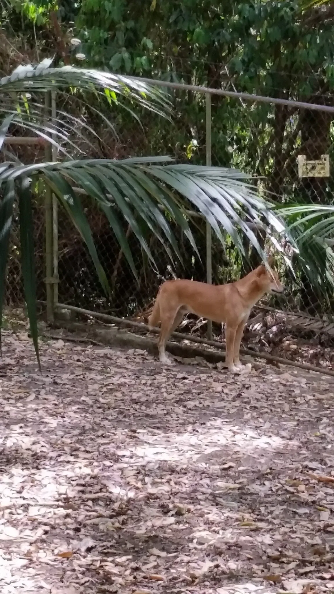 Currumbin Wildlife Sanctuary