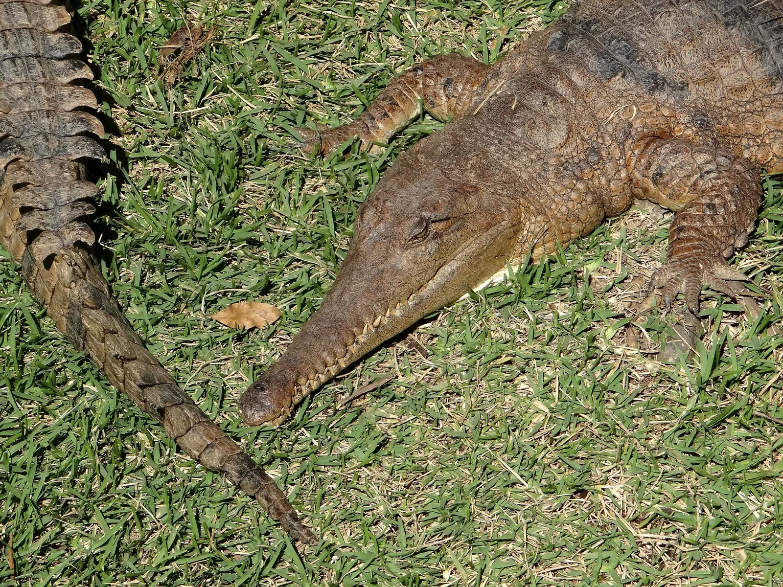 Currumbin Wildlife Sanctuary