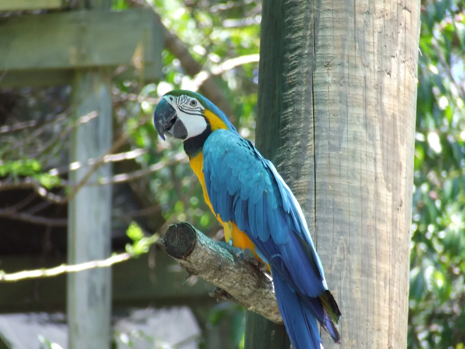 Currumbin Wildlife Sanctuary