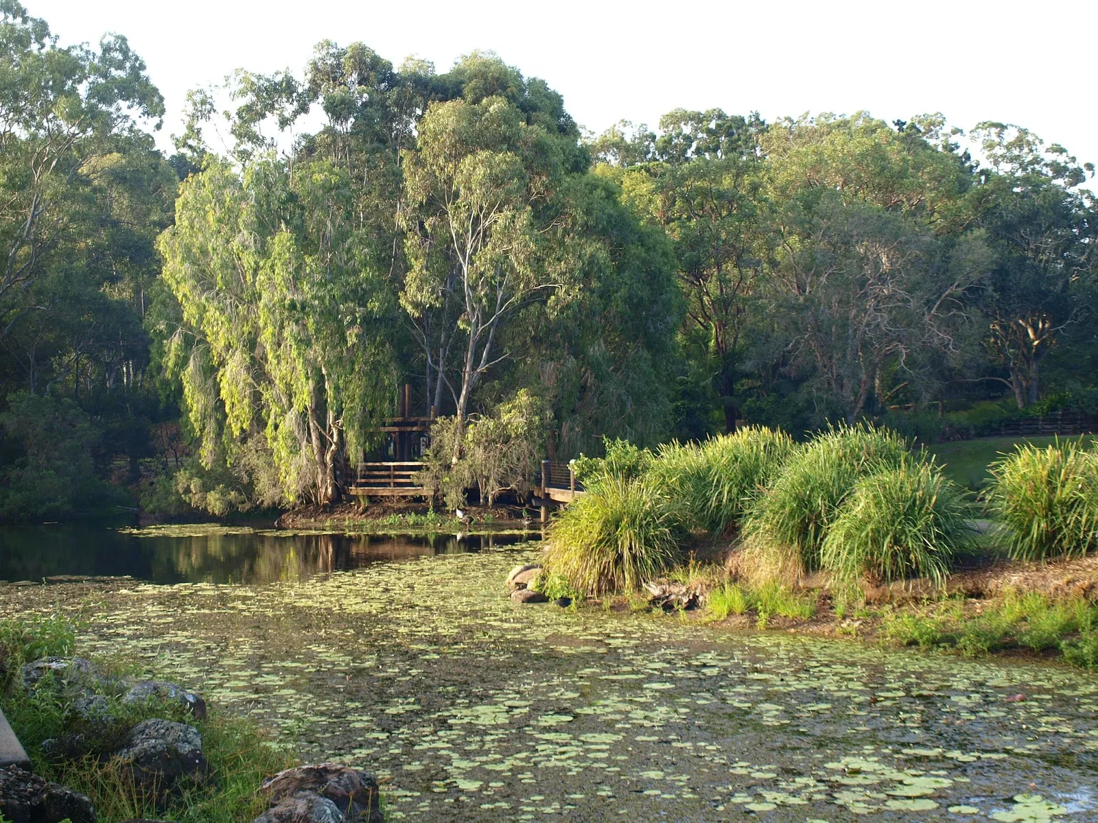 Jardín botánico regional de Gold Coast
