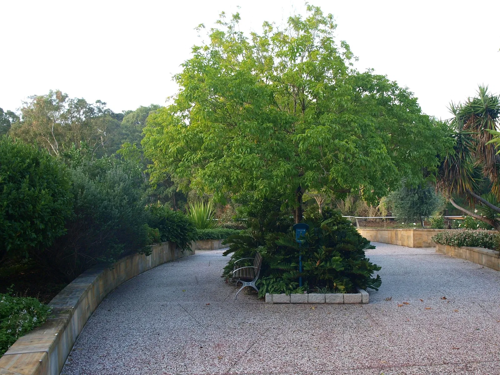 Jardín botánico regional de Gold Coast