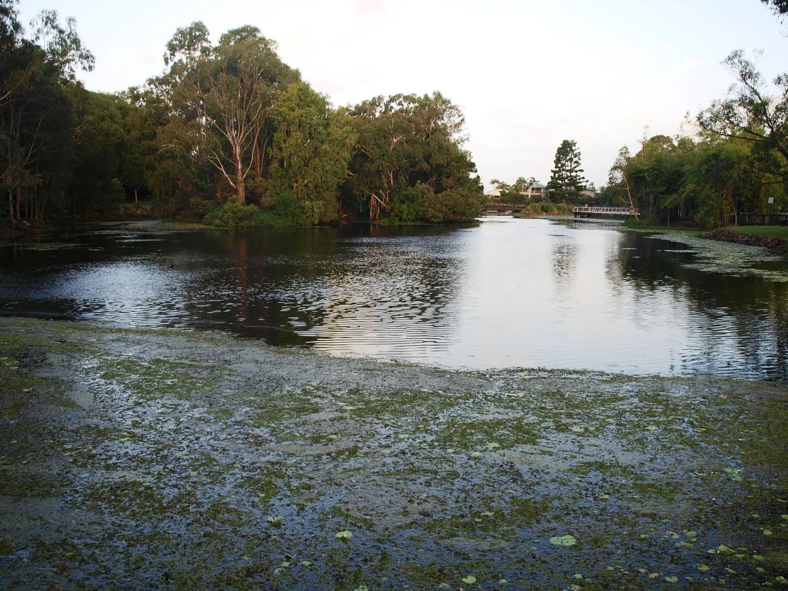 Gold Coast Regional Botanic Gardens