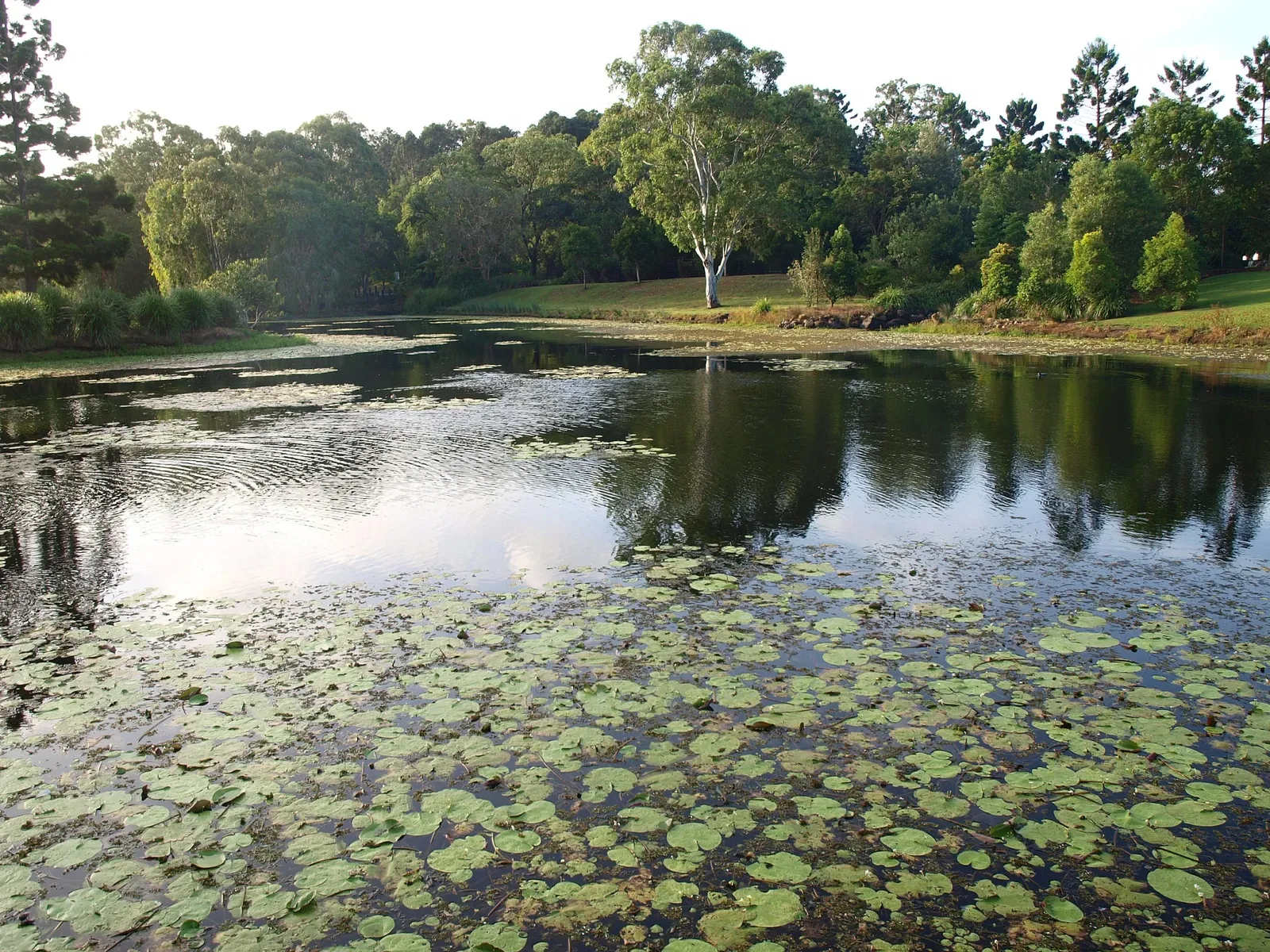 Jardín botánico regional de Gold Coast