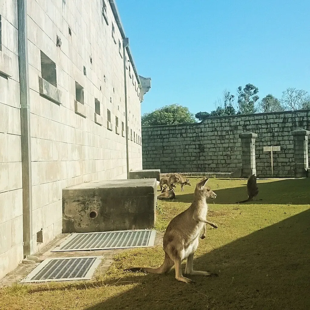 Trial Bay Gaol