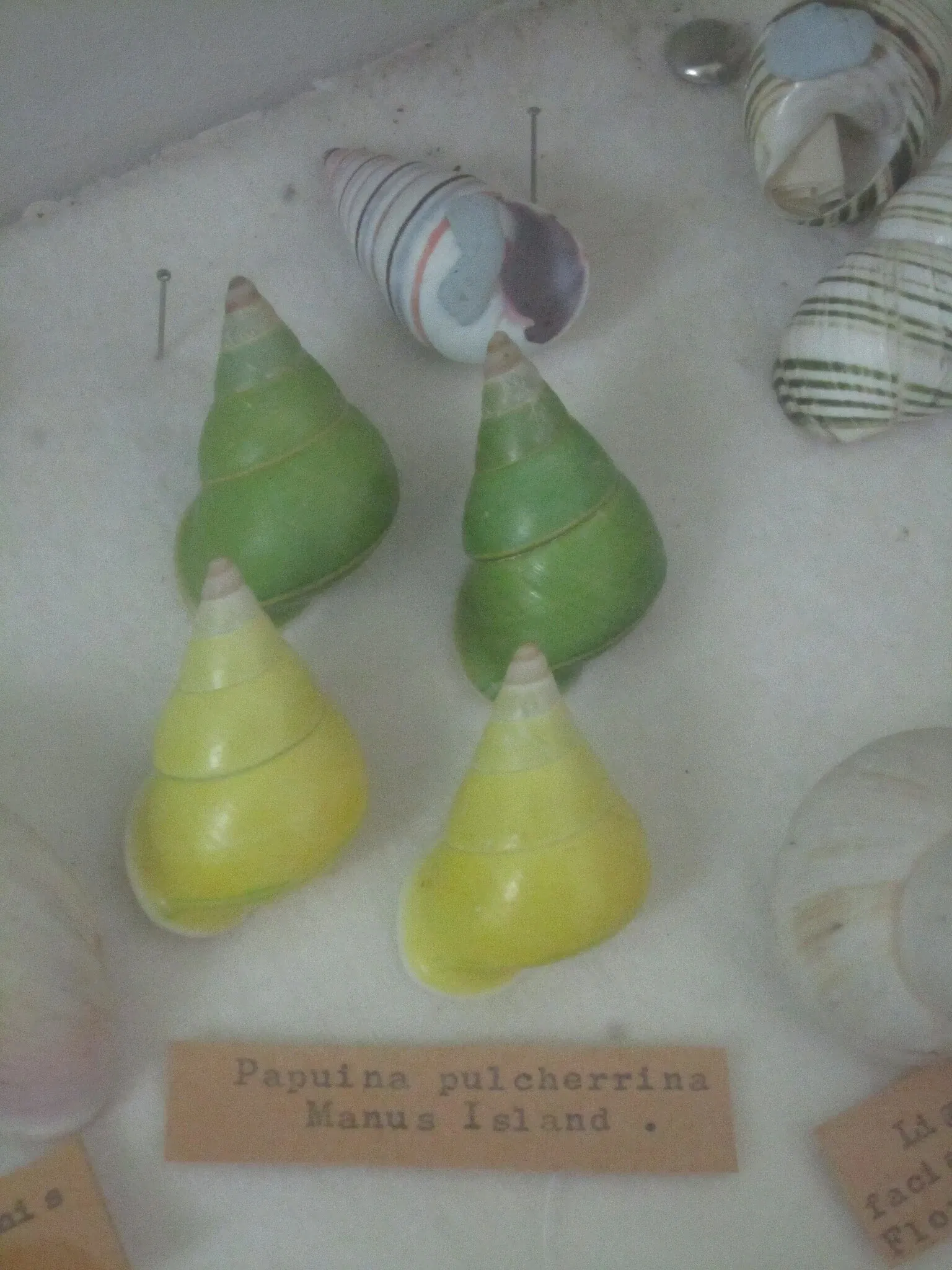 Miles Historical Village Museum