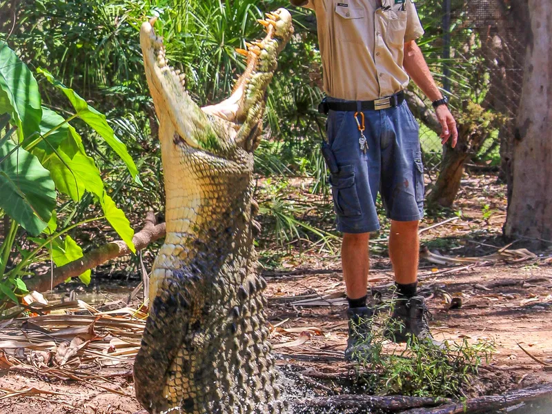 Billabong Sanctuary (Townsville) - Visitor Information & Reviews