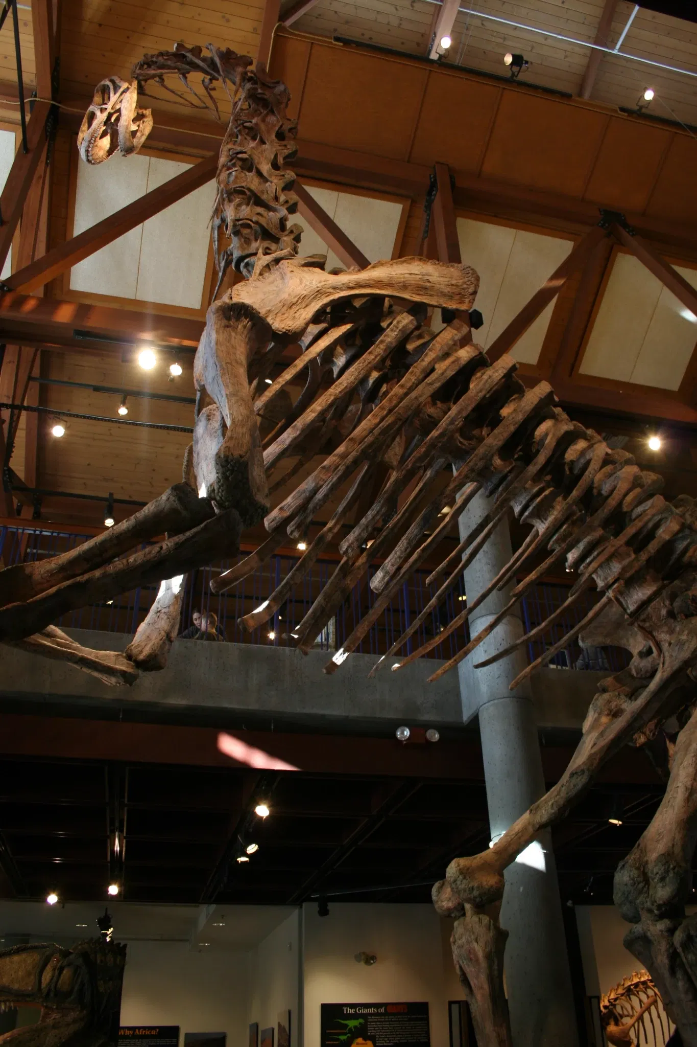 Montshire Museum of Science