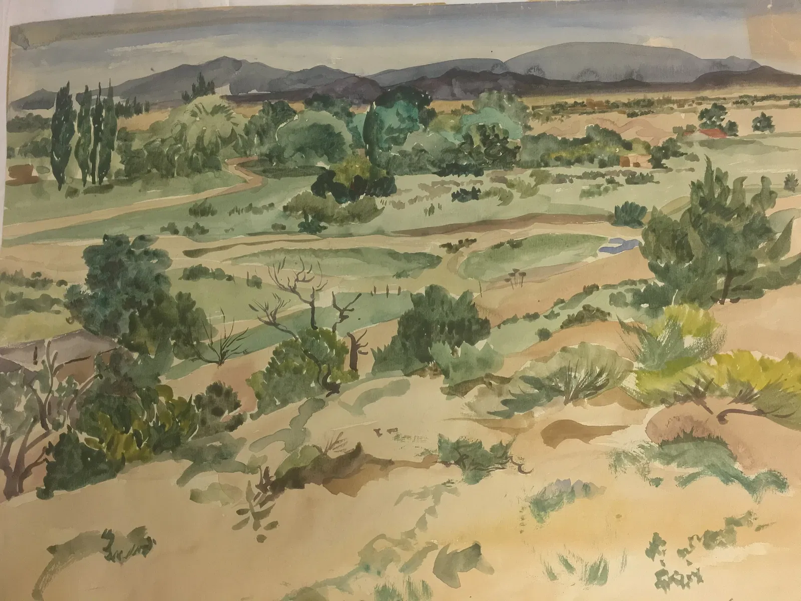 The Long Island Museum