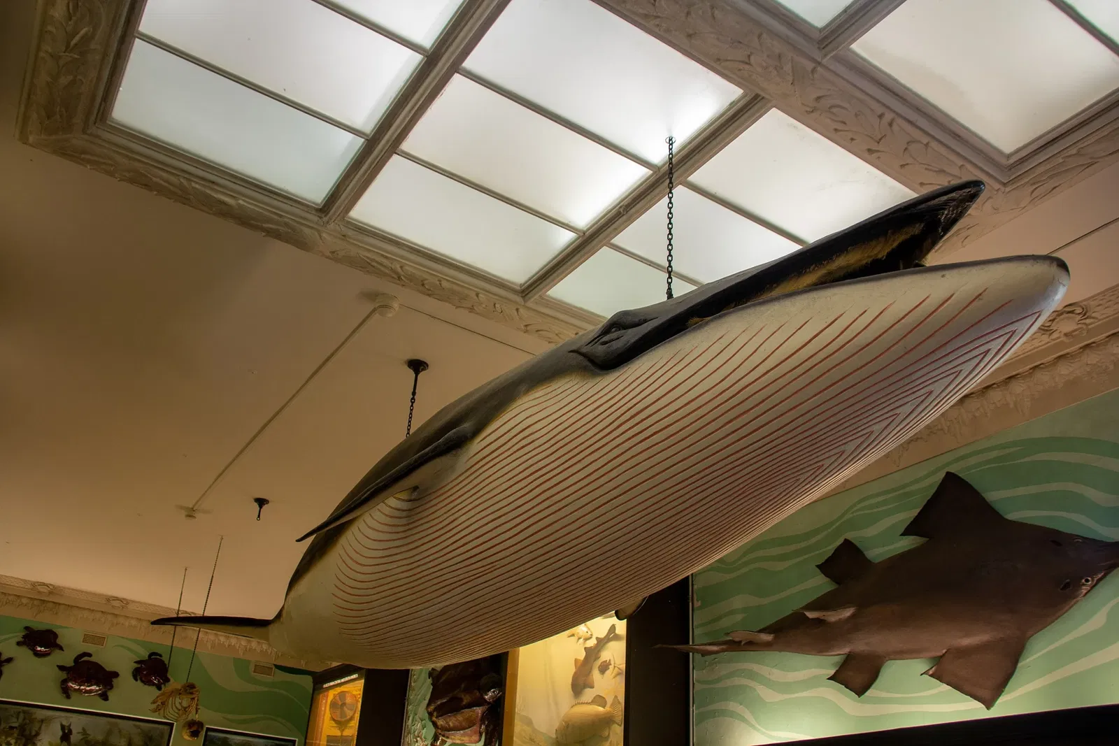 Vanderbilt Museum, Mansion, and Planetarium